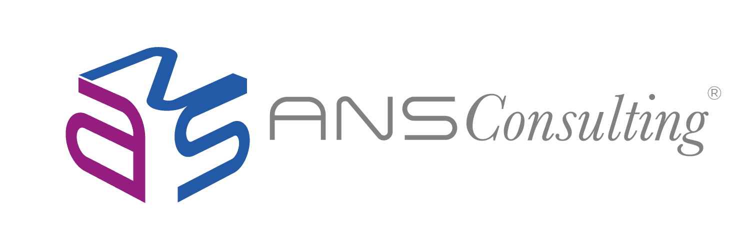 ANS Consulting
